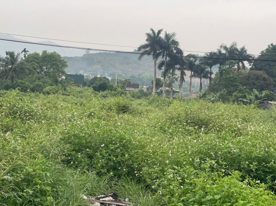 Đất nền Quốc Oai 6700m² giá thỏa thuận - Tiềm năng đầu tư lớn!