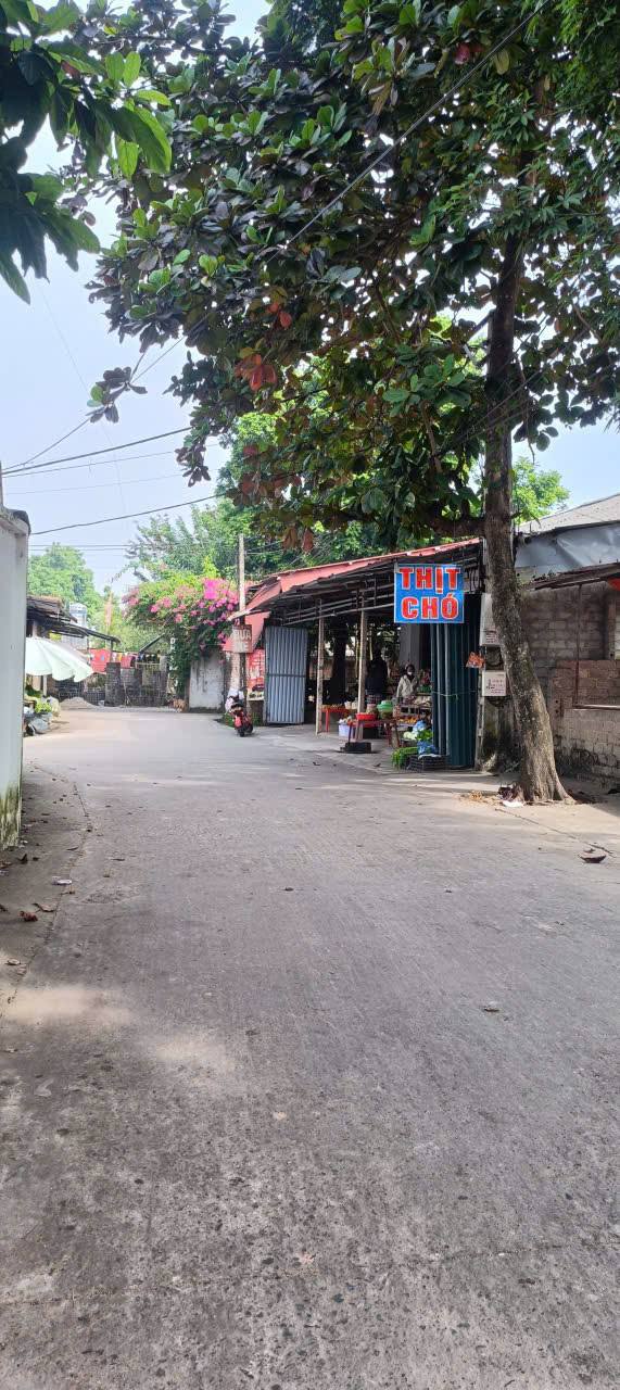 Đất nền Ngọc Sơn, Hiệp Hòa 160m² giá 800 triệu - Kinh doanh đắc địa!