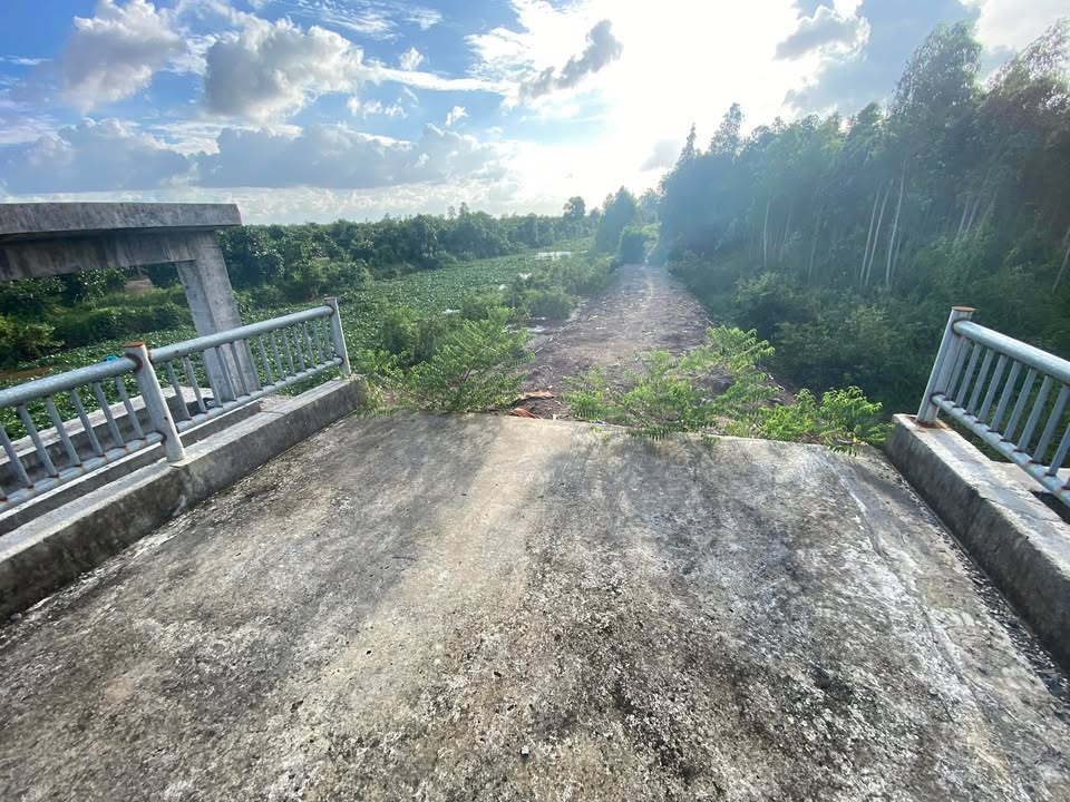 Đất 2 mặt tiền Tân Lập 2, Tân Phước, Tiền Giang 14.280m² giá 189 triệu - Cơ hội đầu tư hấp dẫn!