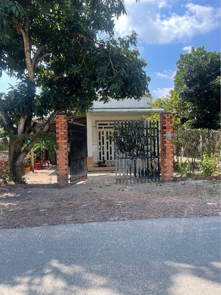 Đất nền Tân Hiệp Tân Châu 735m² giá chỉ 80 triệu - Cơ hội vàng cho nhà đầu tư!