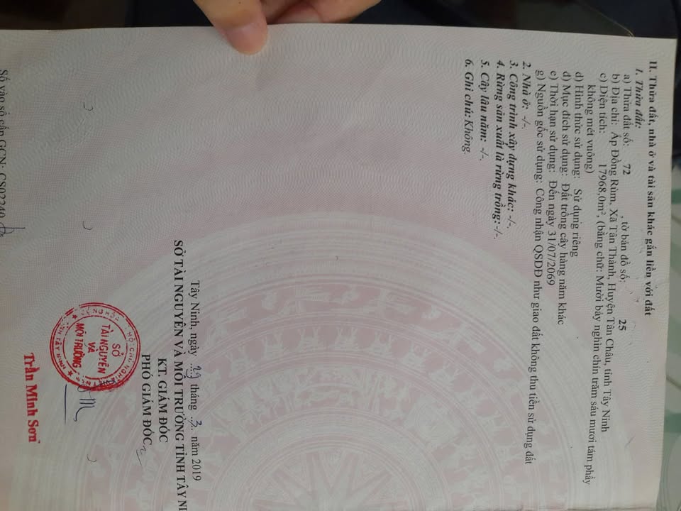 Đất nền Tân Thành, Tân Châu 18.000m² giá 1,2 tỷ - Cơ hội đầu tư tuyệt vời!