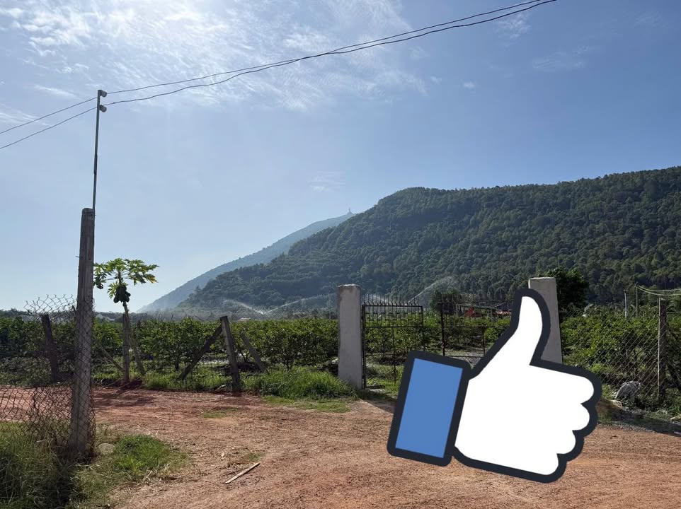 Đất nền Bình Minh Tây Ninh 150m² giá 300 triệu - Sổ hồng chính chủ!