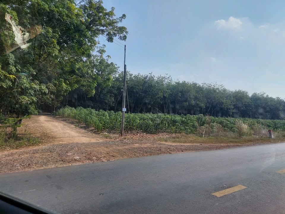 Đất nền DT 783, Tây Ninh 2218.8m² giá 35.49 tỷ - Đầu tư kinh doanh lý tưởng!