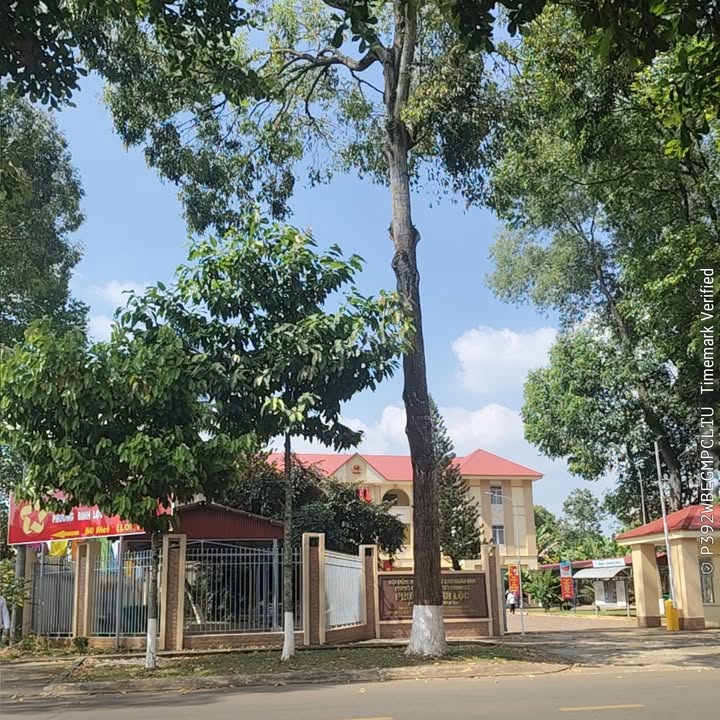 Đất nền Bình Lộc Long Khánh 210m² giá 800 triệu - Mặt tiền thông thoáng, sổ riêng chính chủ!