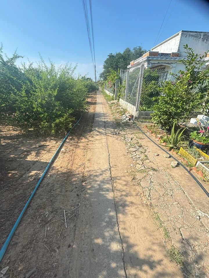 Đất thổ cư Gò Công Đông 308m² giá 550 triệu - Chủ bán gấp!