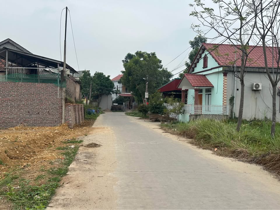 Đất nền dự án KĐT Thanh Minh, Phú Thọ 1227m² giá 12.27 tỷ - Không khí trong lành, dễ đầu tư!