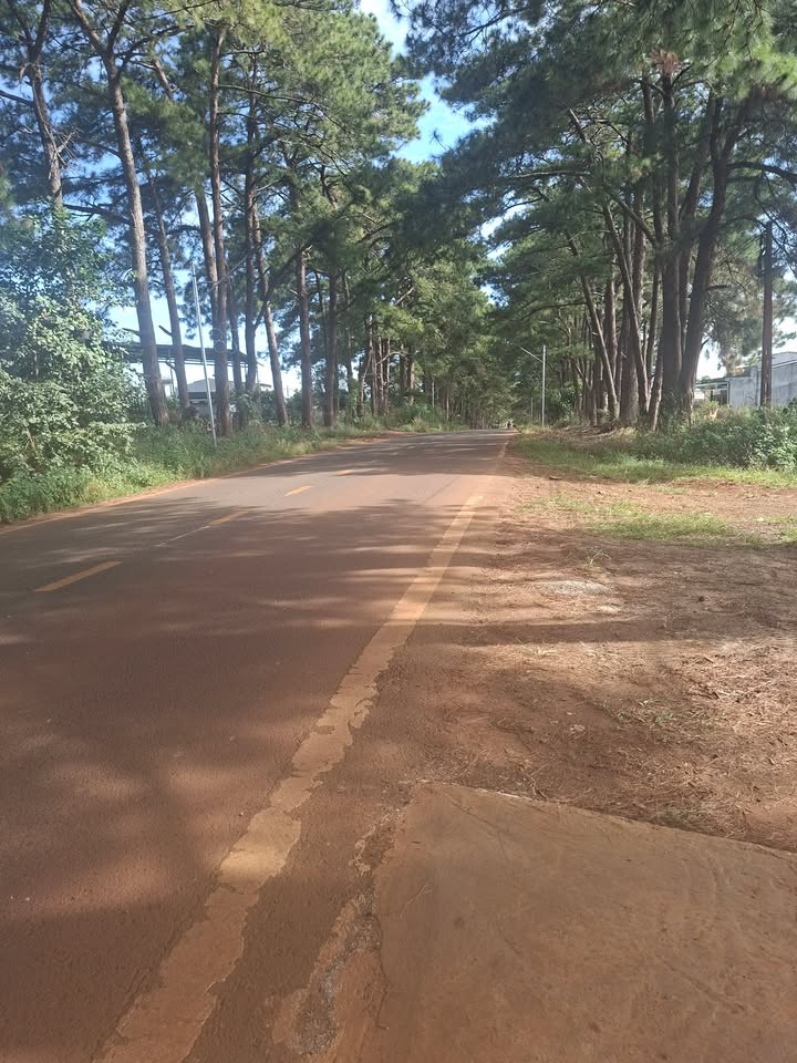 Đất thổ cư Tân Hà Lâm Hà 450m² chỉ 1.699 tỷ - Cần bán gấp trong Tết!