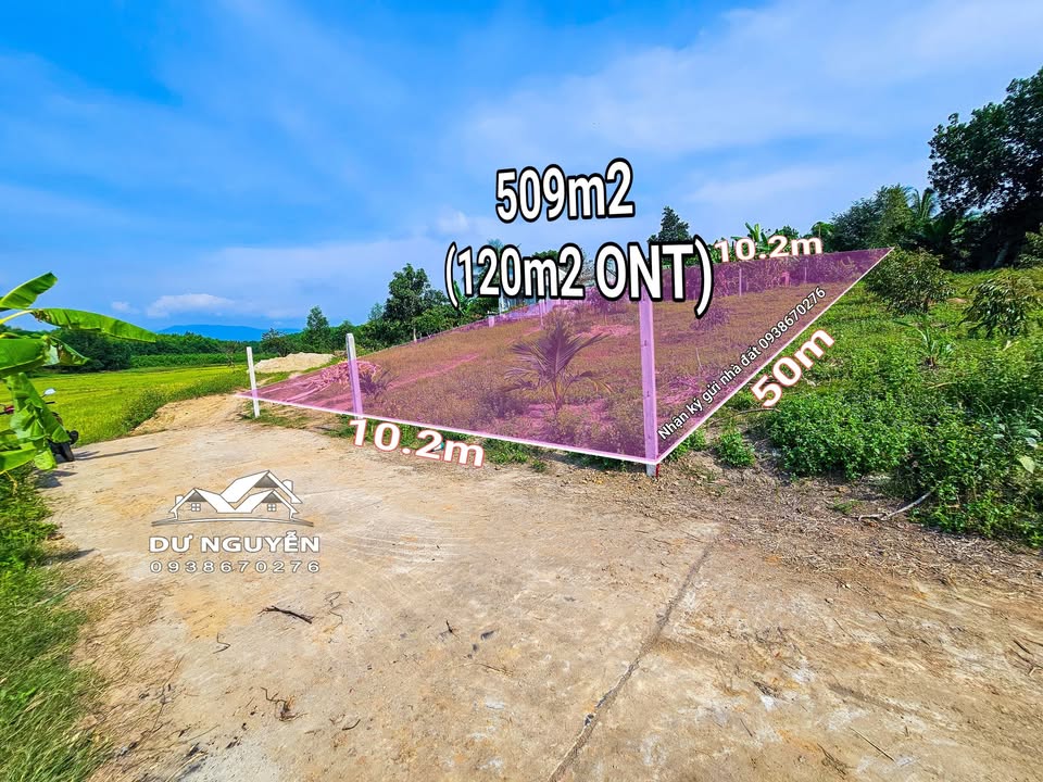 Đất vườn Diên Xuân 509,5m² giá chỉ 699 triệu - Cơ hội vàng cho nhà vườn!