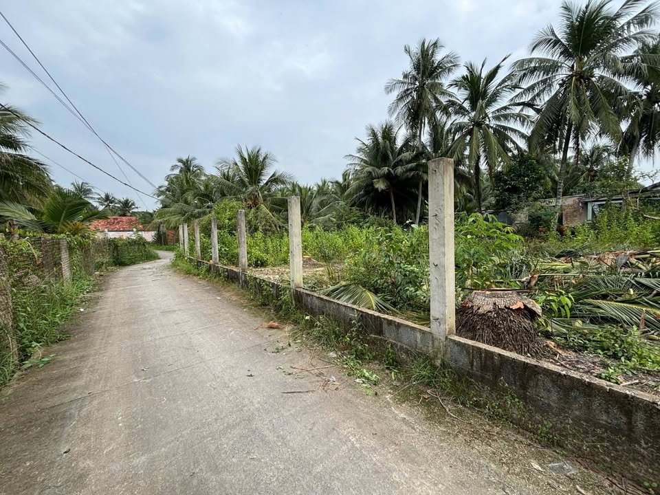 Đất thổ cư 294.2m² tại Nhị Quý, Cai Lậy giá 800 triệu - Sổ hồng chính chủ!