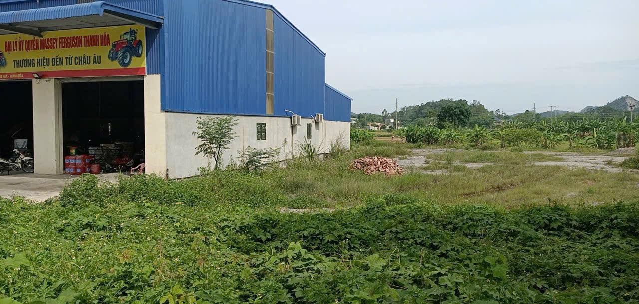 Đất thương mại dịch vụ Hậu Lộc 2100m² giá 4 tỷ - Đầu tư sinh lời ngay!