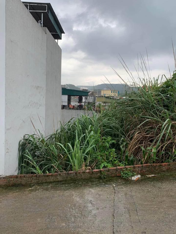 Đất nền Hạ Long 51,4m² giá 900 triệu - Hướng Tây Nam, mặt tiền 4,5m