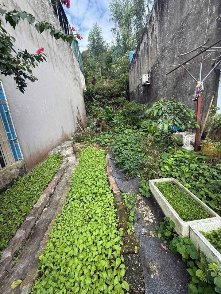 Đất nền Cột 8, Hạ Long 70m² giá 1.1 tỷ - Vị trí đắc địa, sẵn sàng đầu tư!