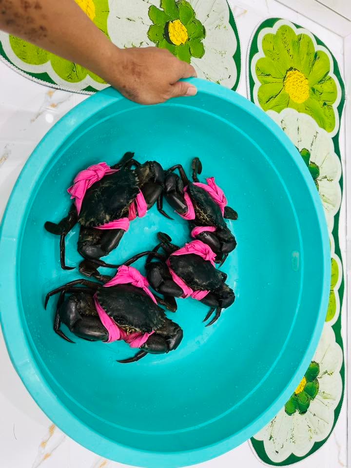 Đất nền Trường Long, Phong Điền 102m² giá 560 triệu - Cơ hội đầu tư hấp dẫn!