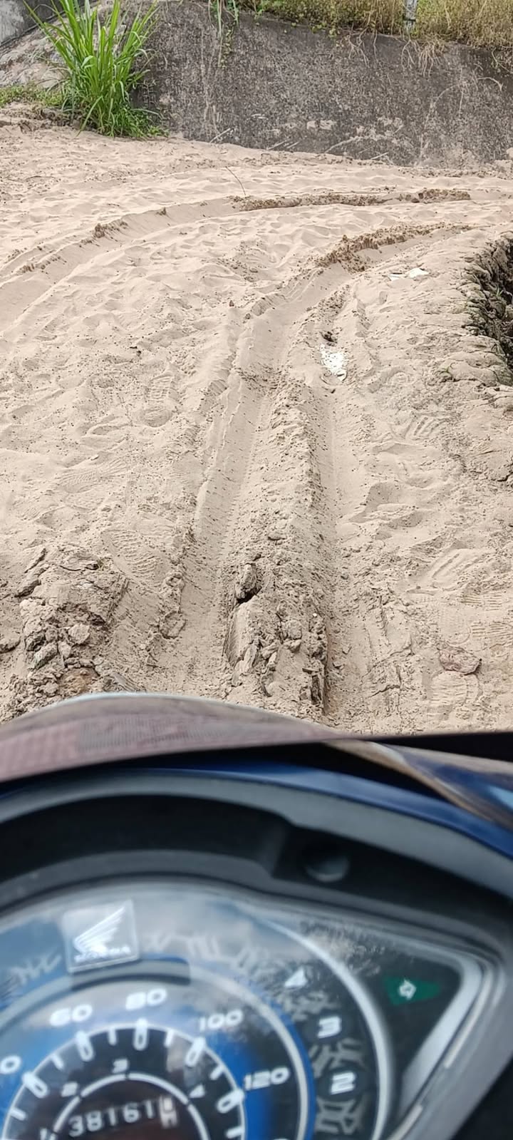 Đất vườn 15 công xã Trà Côn Vĩnh Long - Gần đường đang mở, thu hoạch ngay!