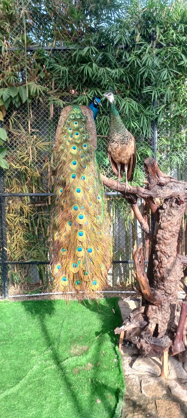 Đất nền mặt tiền Nguyễn Văn Linh, 45m² giá 4 tỷ - Đầu tư sinh lời ngay!