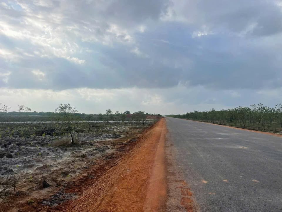 Bán đất rừng Đường tránh Gio Linh 3300m² chỉ 550 triệu - Cơ hội đầu tư hấp dẫn!