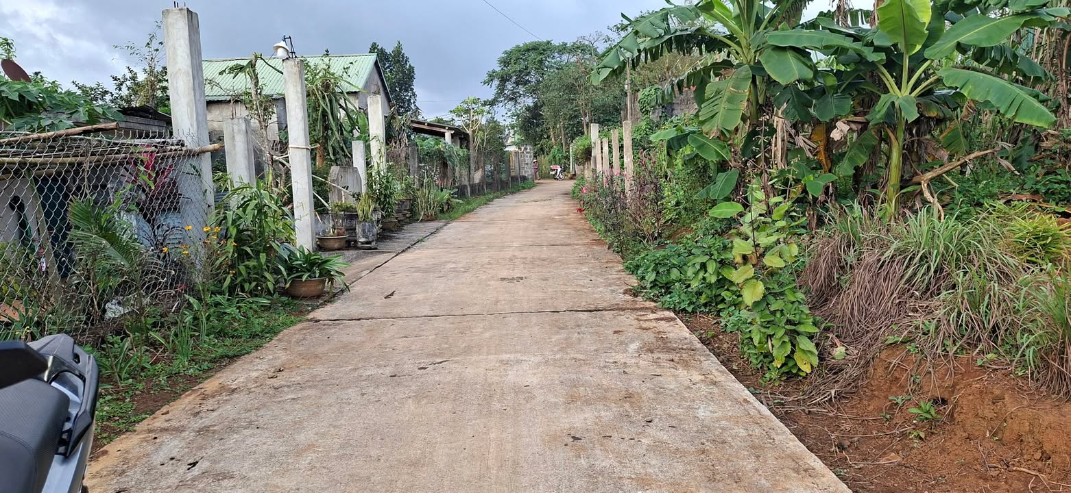 Đất nền thôn Tân Hữu, xã Tân Liên, 180m² - Giá tốt thỏa thuận!