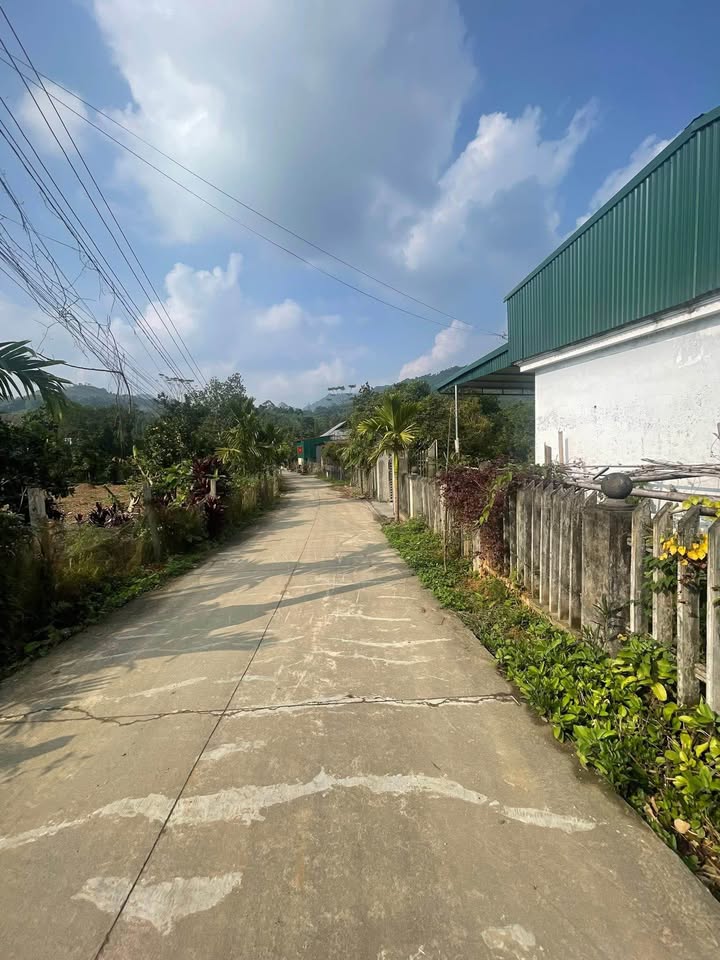 Đất thổ cư Vị Xuyên 300m² giá 600 triệu - Đầu tư sinh lời ngay!