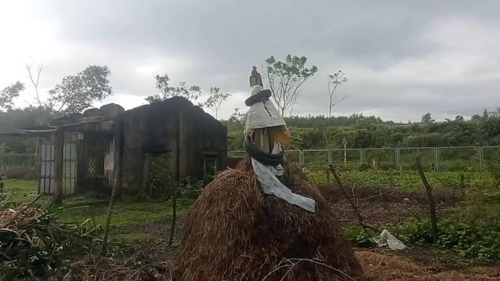 Đất vườn Tam Xuân 1, Núi Thành 1223m² - Đường ô tô vào tận nơi!