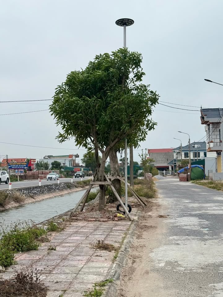 Đất nền Tiền Hải Thái Bình 90m² giá 1.9 tỷ - Cơ hội đầu tư sinh lời!