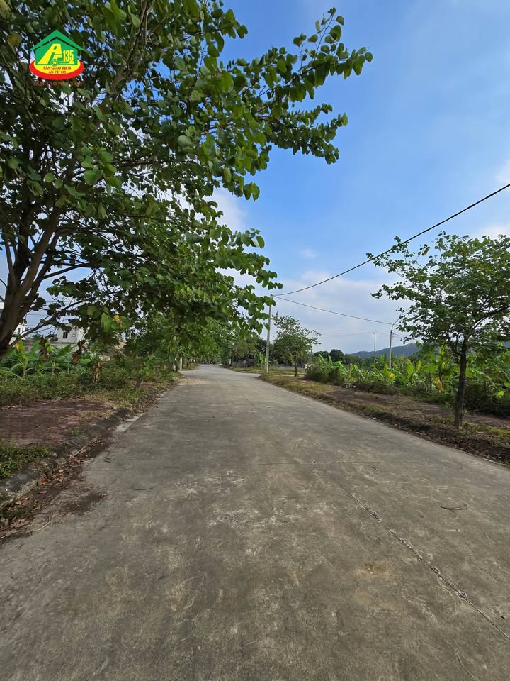 Đất nền Yên Sơn Yên Mô 344.3m² giá thỏa thuận - Đường lớn tiện lợi!