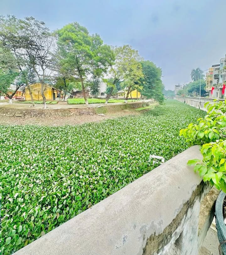 Đất nền Vệ An Bắc Ninh 66.5m² giá 6 tỷ - Mặt tiền 7m cực hiếm!