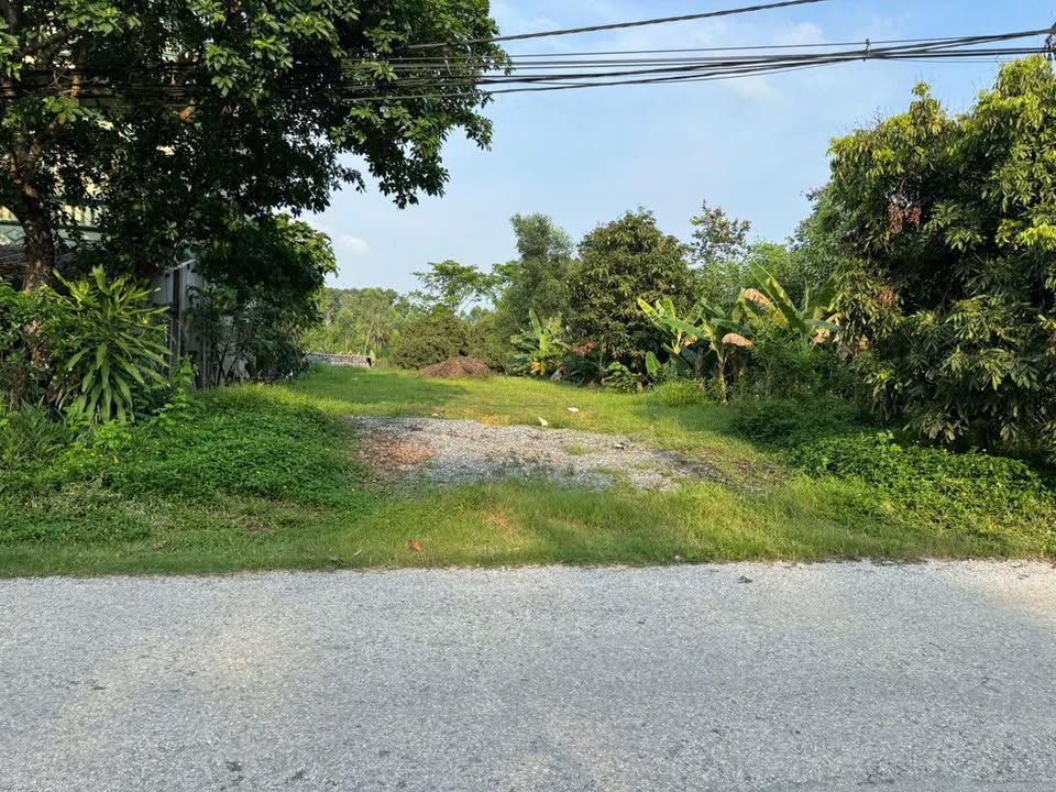 Bán đất mặt tiền Kim Quan, Ỷ La 375m² - Đầu tư sinh lời, kinh doanh thuận lợi!