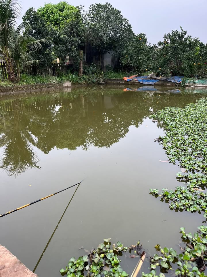 Nhà riêng Bồ Đề Long Biên 35m² giá 6 tỷ - Thiết kế thoáng mát, gần nhiều tiện ích