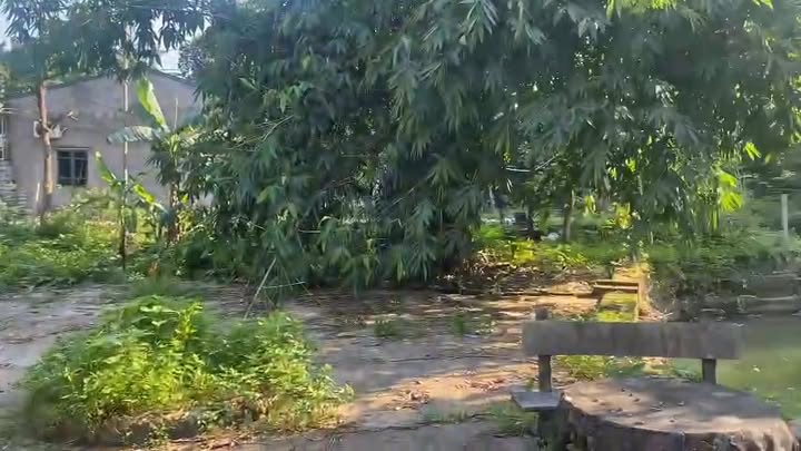 Đất đẹp 3100m² tại Lâm Sơn, Lương Sơn, Hòa Bình - Cơ hội đầu tư sinh lời!