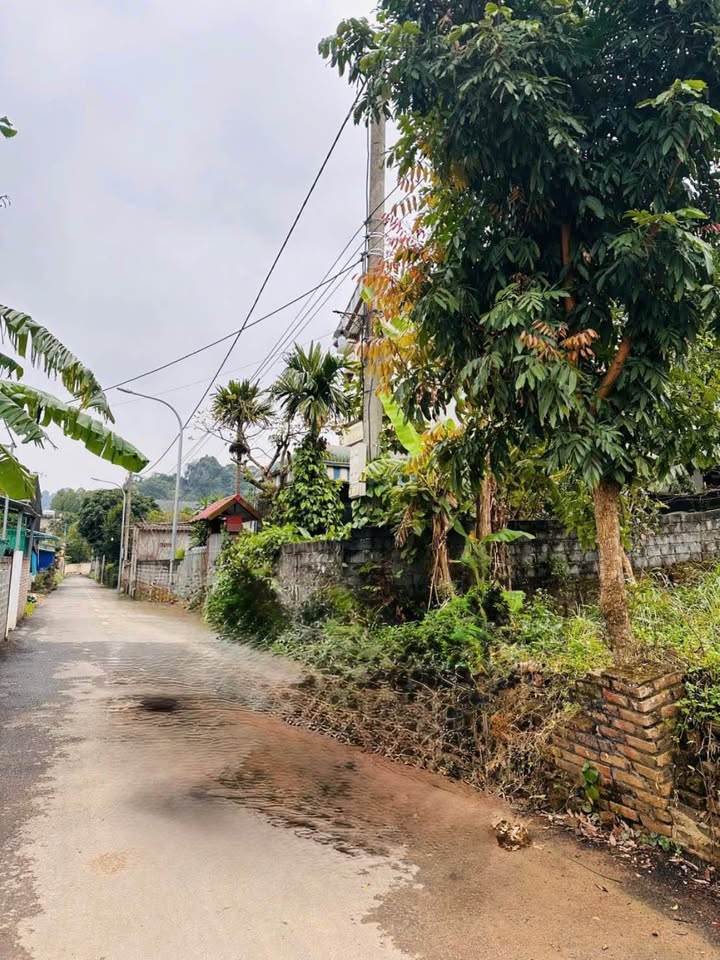 Đất thổ cư 166m² Lâm Sơn, Lương Sơn - Mặt tiền 6m, chỉ 1.x tỷ!