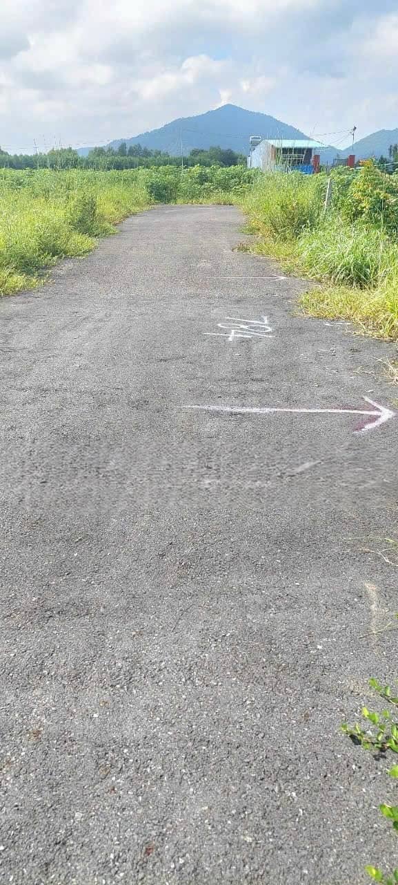 Đất nền Hắc Dịch 95m² giá 899 triệu - Cơ hội đầu tư vàng tại trung tâm!