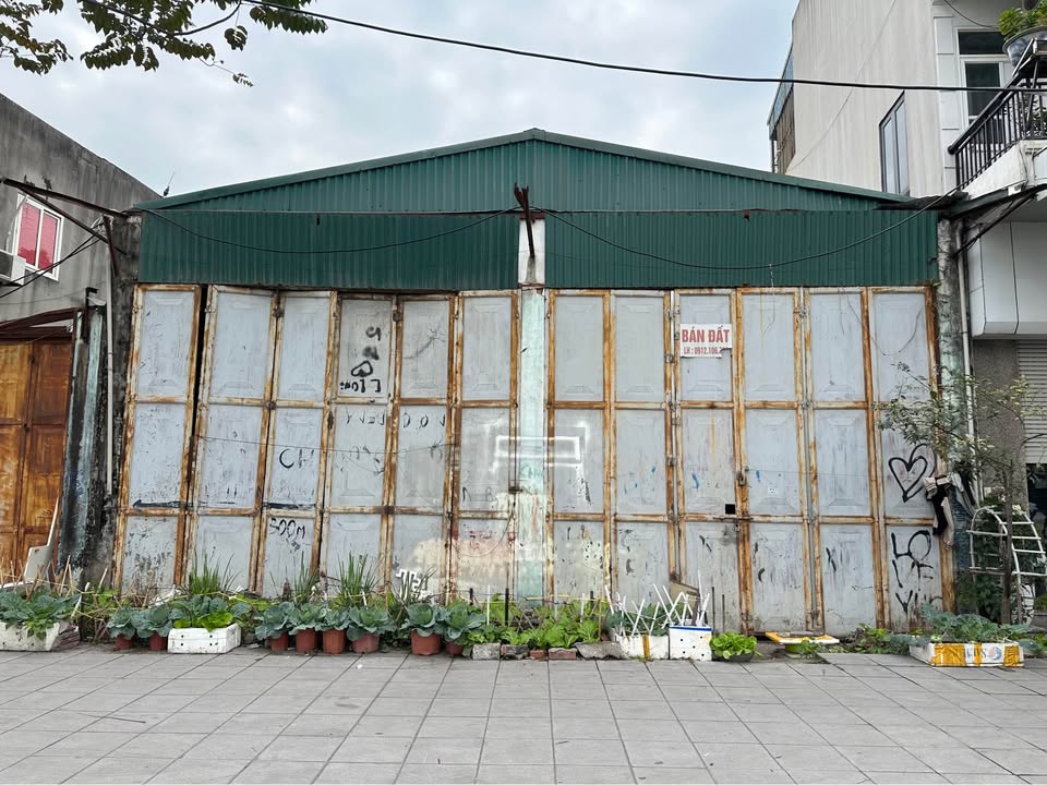 Đất mặt đường Lê Thanh Nghị, Cẩm Phả 447m² giá 14.77 tỷ - Kinh doanh sầm uất!