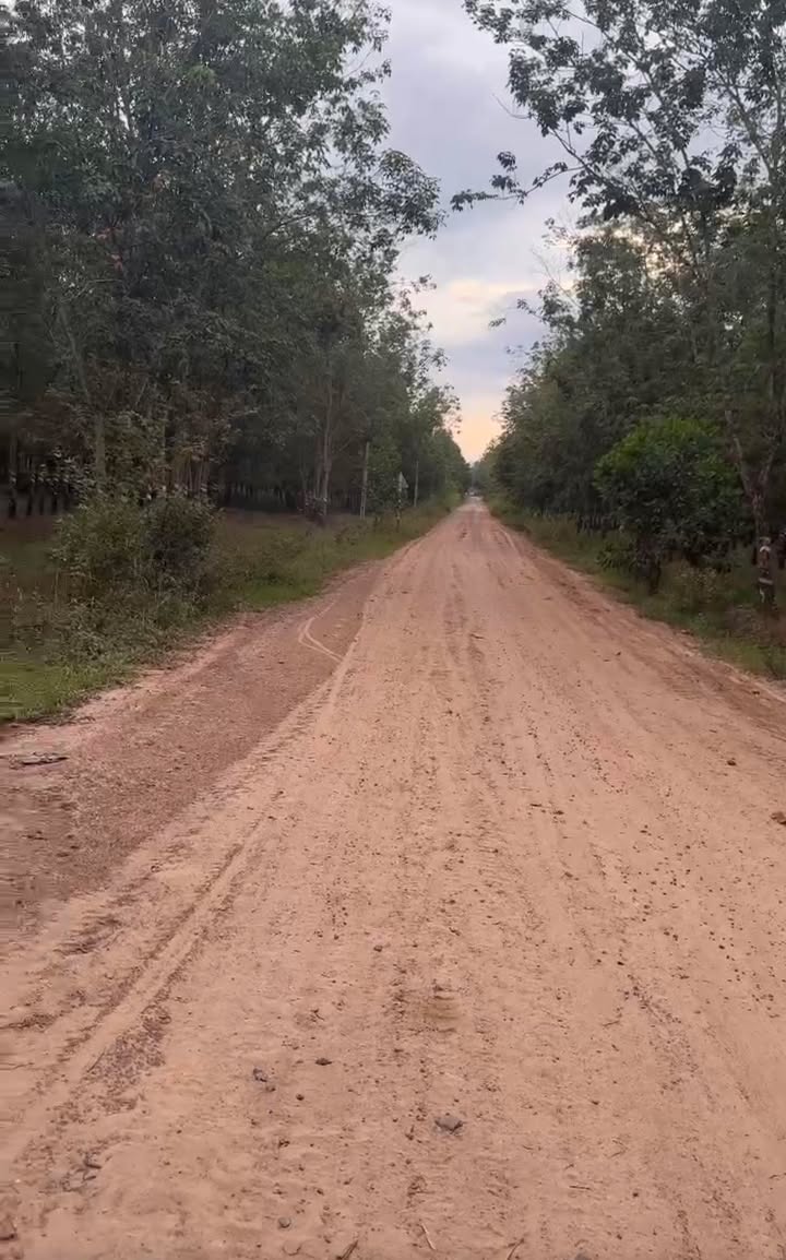 Đất cho thuê tại Tân Thành, Tân Châu, Tây Ninh 4 triệu/tháng - Cơ hội đầu tư hấp dẫn!