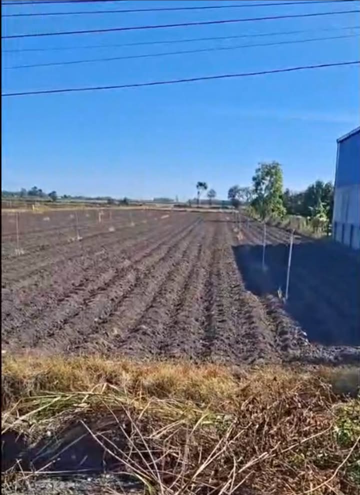 Đất mặt tiền Tân Trung A, Tân Châu, Tây Ninh 785m² - Giá chỉ 180 triệu!