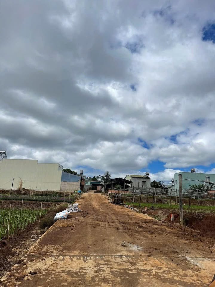 Đất nền Thắng Lợi, Pleiku 120m² chỉ 800 triệu - Đầu tư sinh lời ngay!