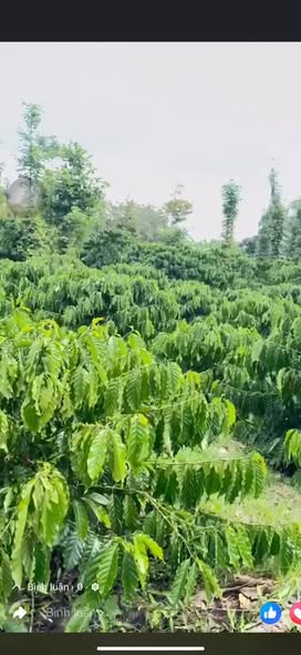 Đất nền Kim Long Châu Đức 360m² giá 900 triệu - Cơ hội đầu tư tuyệt vời!