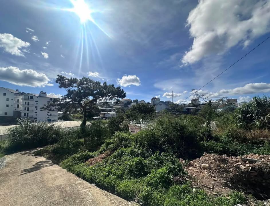 Đất nền Đà Lạt 3000m² giá 24 tỷ - Cơ hội đầu tư hấp dẫn!