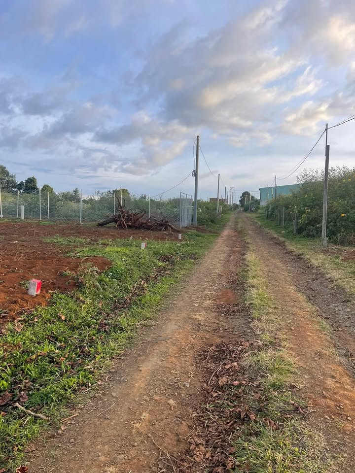 Đất nền Hẻm 104 Trần Văn Ơn 125m² giá 400 triệu - Sổ đỏ chính chủ, thuận lợi đầu tư!