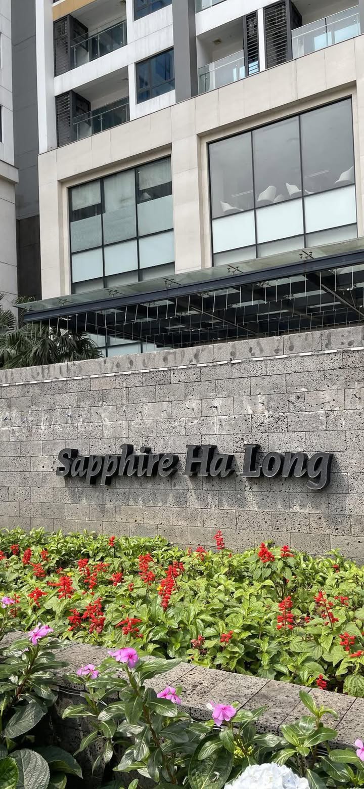 Căn hộ chung cư Sapphire S2 Hạ Long 45m² giá từ 5 triệu - Vào ở ngay!