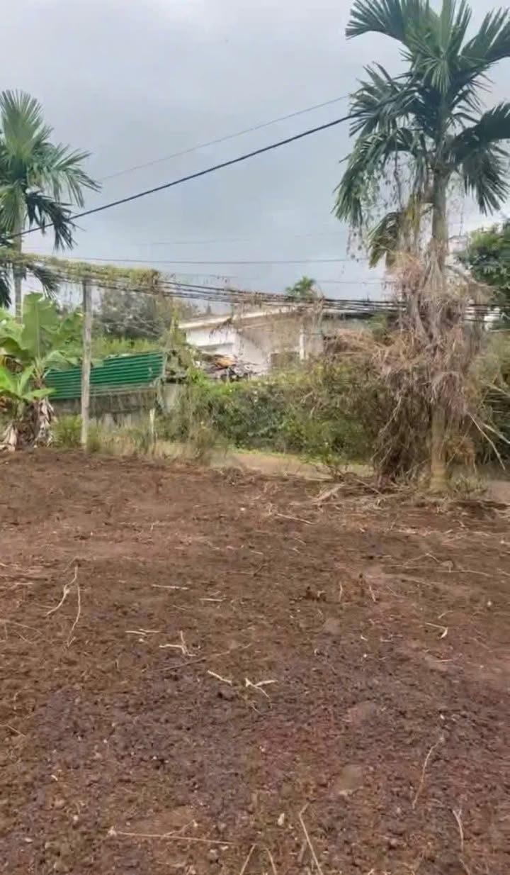 Đất Thổ Cư 1939.8m² tại Xã Ea Drong, Buôn Hồ - Giá Chỉ 2.599 Tỷ!