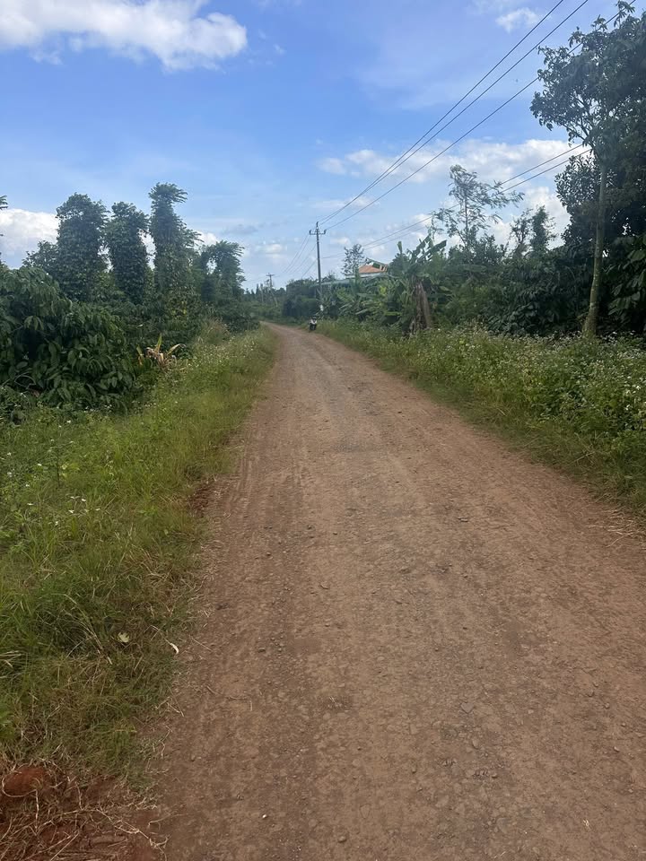 Đất nền Ea Drông Buôn Hồ 10.000m² giá 1.7 tỷ - Sổ hồng chính chủ, ô tô vào tận nơi!