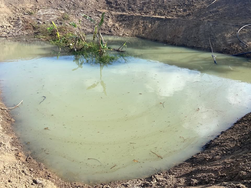 Đất Farm Ea Sô 8000m² giá thỏa thuận - Cơ hội đầu tư lý tưởng!