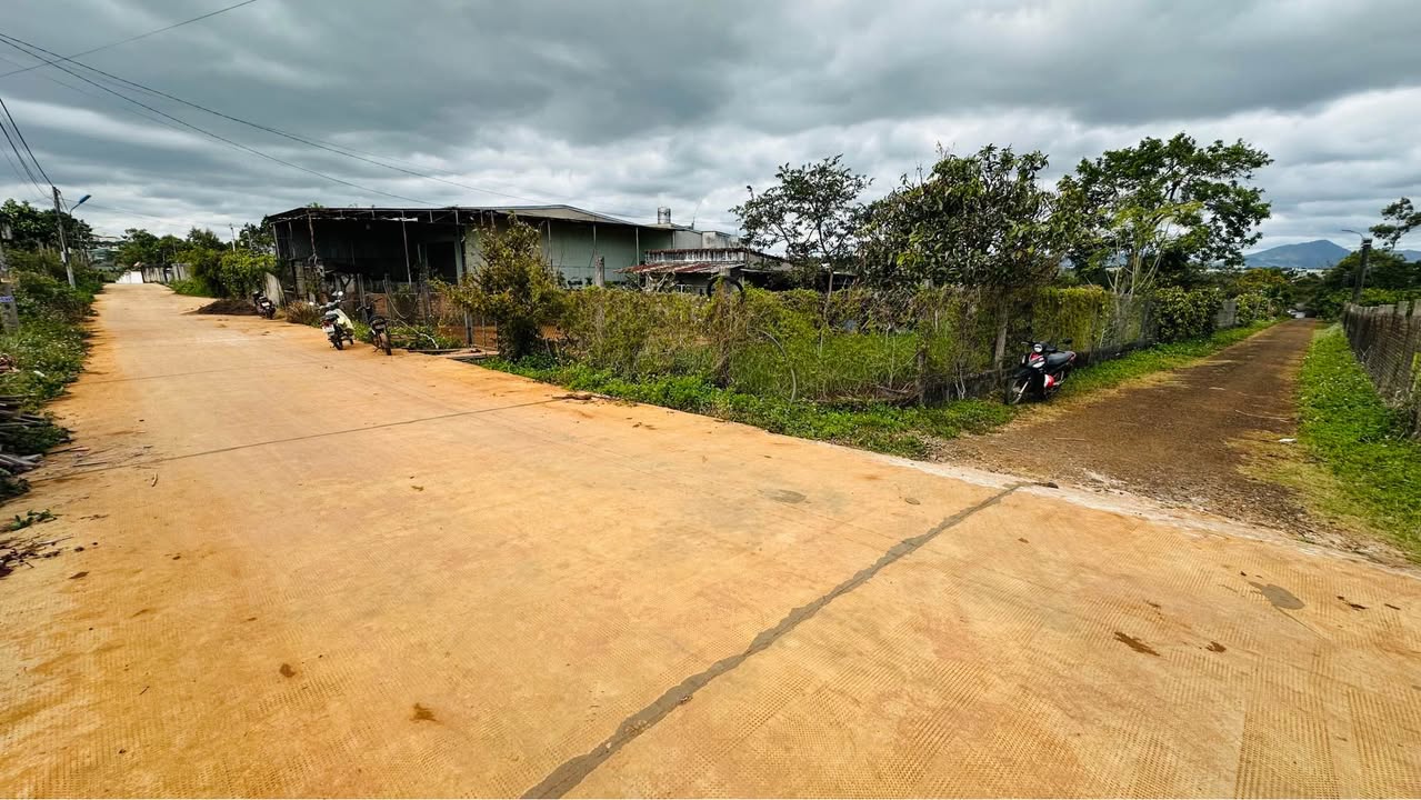 Đất thổ cư hẻm 43 Nguyễn Tuân, Thắng Lợi, 107m² giá 500 triệu - Cơ hội đầu tư vàng!