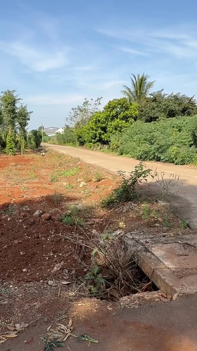 Đất sào 3 mặt tiền Bình Trung, Châu Đức, Bà Rịa - Vũng Tàu 1.405m² giá 2.9 tỷ - Đầu tư sinh lời cao!