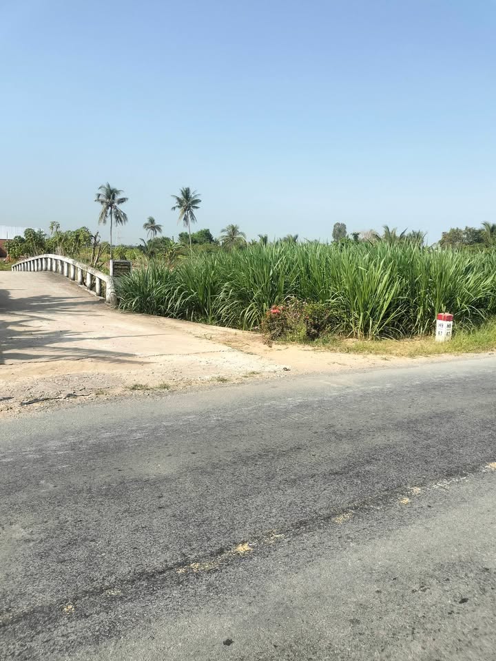 Đất mặt tiền Nam sông Hậu 1500m² giá chỉ 1.625 tỷ - Cơ hội đầu tư hiếm có!