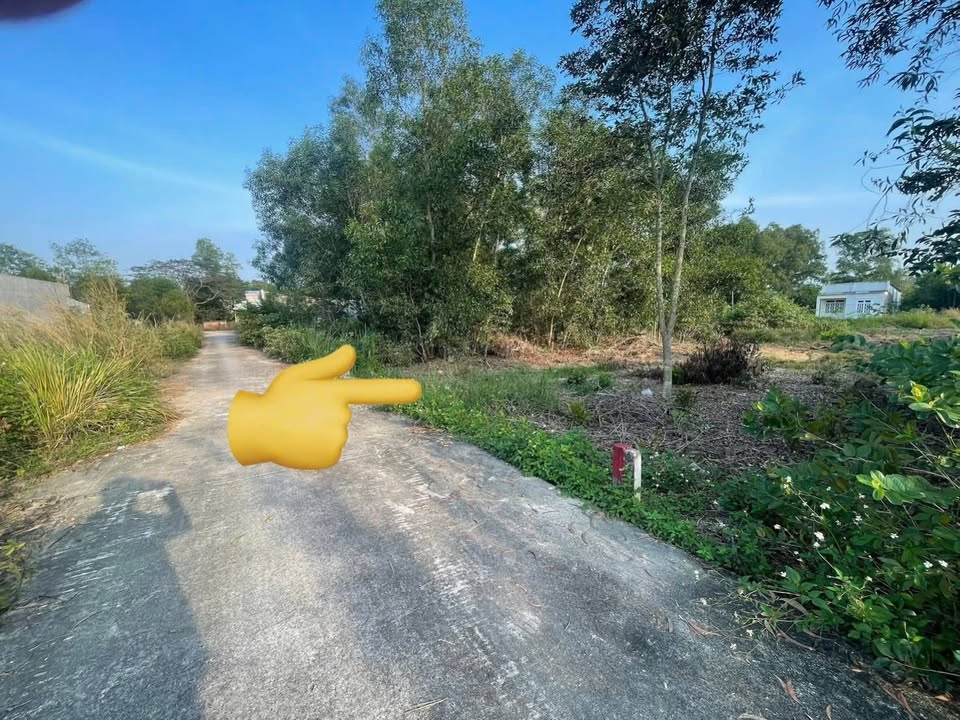 Đất thổ cư 116m² xã Đại Phước, Nhơn Trạch - Giá chỉ 1.65 tỷ