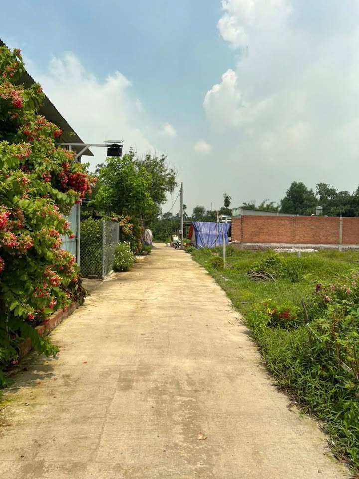 Đất nền thổ cư ấp 1 xã Long Thọ 135m² giá 1.5 tỷ - Đường Bêtông ô tô vào tận nơi!