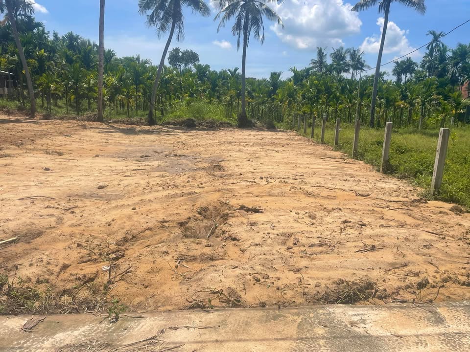 Đất nền Hành Thuận, Quảng Ngãi 125m² giá 400 triệu - Cơ hội đầu tư hấp dẫn!