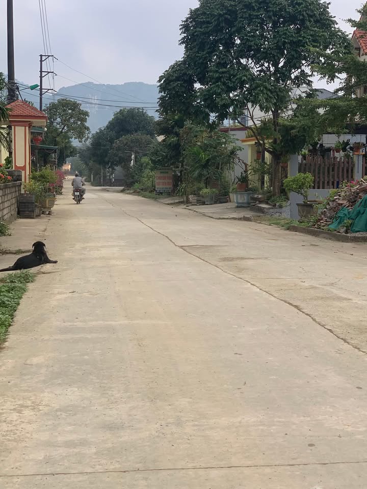 Đất nền Yên Sơn, Tam Điệp 300m² giá 1.6 tỷ - Cơ hội đầu tư hấp dẫn!