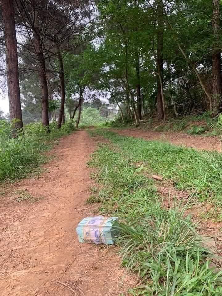 Đất Farm 2ha tại Bình Khương, Quảng Ngãi - Sổ đỏ chính chủ, giá chỉ 720 triệu